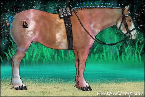 Horse Color:White Spotted Chestnut 