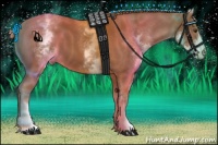 Horse Color:White Spotted Chestnut