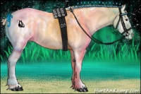 Horse Color:Palomino Onyx Sabino Tobiano Blanket 