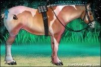 Horse Color:Silver Bay Onyx Tobiano 