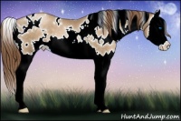 Horse Color:White Spotted Smoky Black Pearl Splash