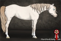 Horse Color:Perlino Dun