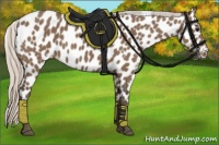 Horse Color:White Spotted Silver Black Appaloosa 