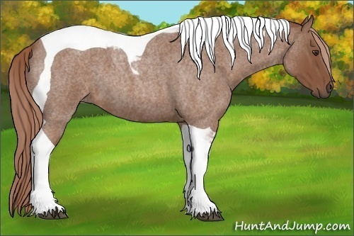 Horse Color:Red Roan Tobiano 