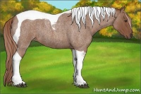Horse Color:Red Roan Tobiano 