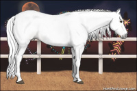 Horse Color:Gray Silver Bay Dun 