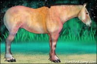 Horse Color:Gray Buckskin Ice Roan Onyx 