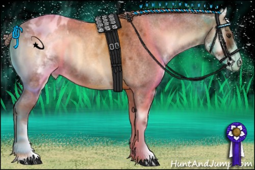Horse Color:White Spotted Red Onyx Roan Blanket 
