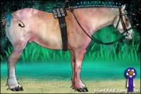 Horse Color:White Spotted Red Onyx Roan Blanket 