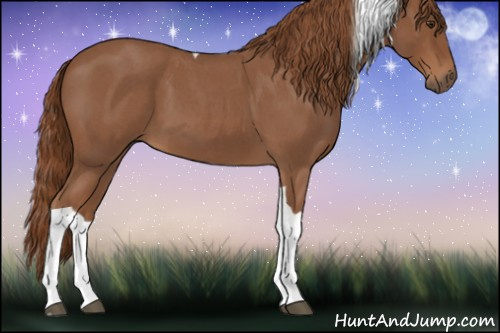 Horse Color:Red Roan Tobiano