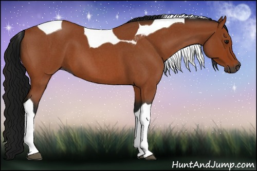 Horse Color:Gray Bay Roan Tobiano