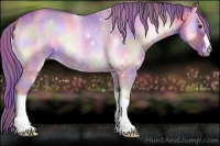 Horse Color:Nacre Watercolor Red Onyx 