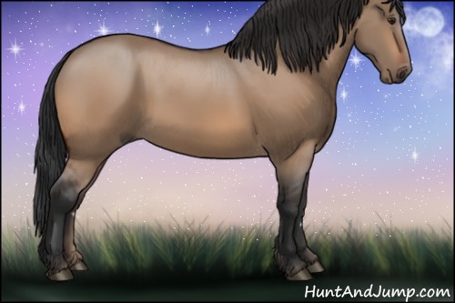 Horse Color:Bay Dun
