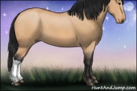 Horse Color:Bay Dun