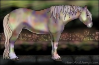 Horse Color:Nacre Silver Blue Onyx Sabino 