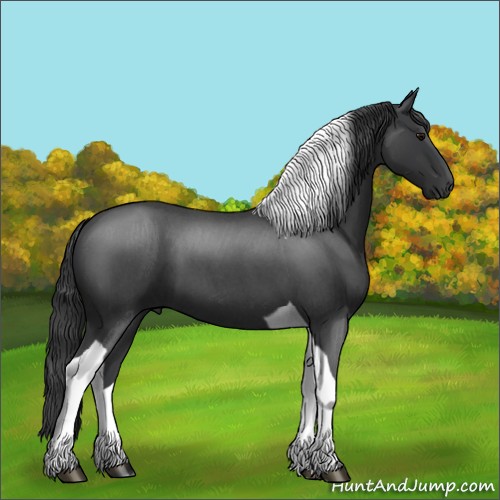 Horse Color:Blue Roan Tobiano 