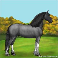 Horse Color:Blue Roan Tobiano 