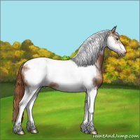 Horse Color:Chestnut Tobiano Frame 