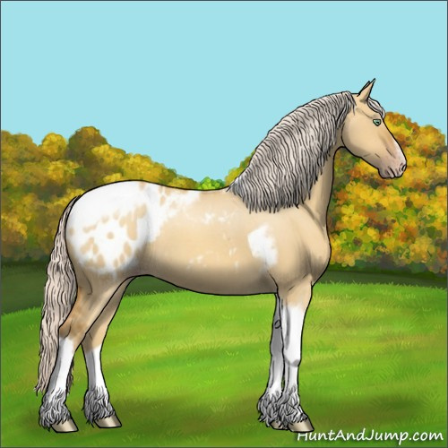 Horse Color:Gray Silver Amber Cream Champagne Roan Dun Splash Tobiano Frame Appaloosa Rabicano 