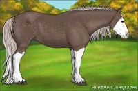 Horse Color:Silver Black Splash 