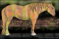 Horse Color:Nacre Watercolor Chestnut 