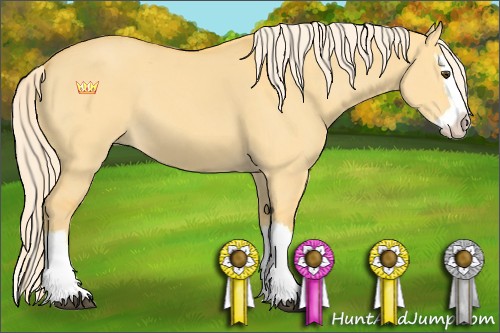 Horse Color:Palomino Dun Sabino Splash 
