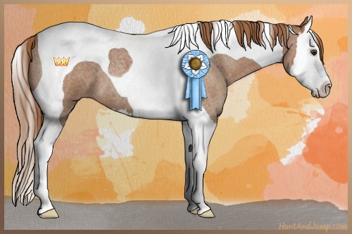 Horse Color:Red Roan Splash Tobiano 
