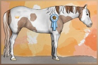 Horse Color:Red Roan Splash Tobiano