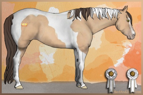 Horse Color:Amber Champagne Sabino Tobiano
