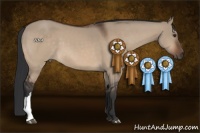 Horse Color:Brown Dun 