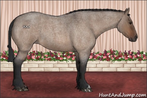 Horse Color:Brown Roan Dun 