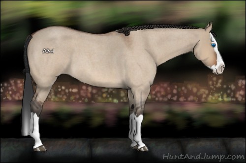 Horse Color:Brown Roan Dun Splash 