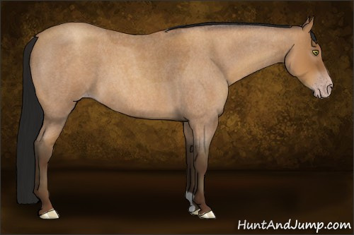 Horse Color:Gray Amber Champagne Roan 