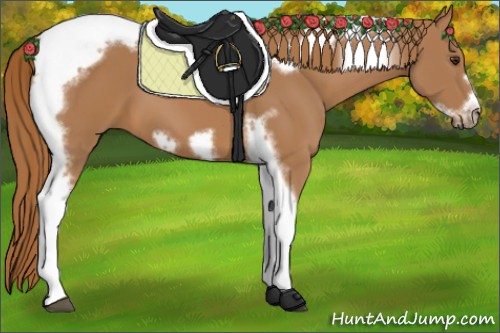 Horse Color:Chestnut Tobiano Frame