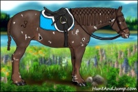 Horse Color:White Spotted Liver Chestnut 