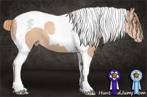 Horse Color:Gold Champagne Tobiano