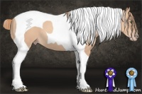 Horse Color:Gold Champagne Tobiano
