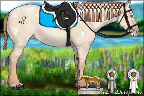 Horse Color:White Spotted Gold Champagne Dun