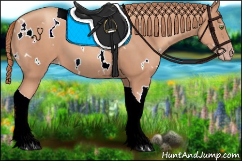 Horse Color:White Spotted Gold Champagne Tobiano 