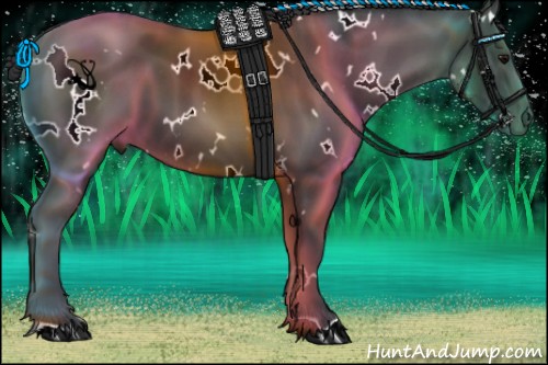 Horse Color:White Spotted Black 