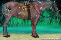 Horse Color:White Spotted Black 