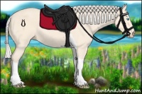 Horse Color:Silver Perlino Tobiano Rabicano