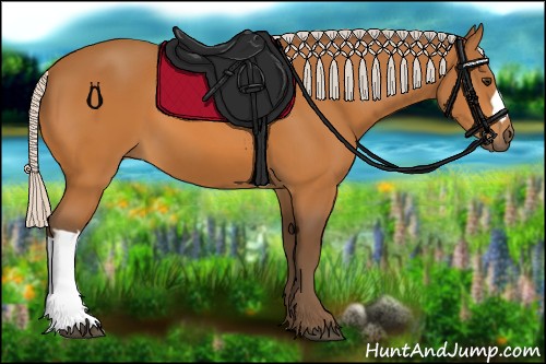 Horse Color:Silver Buckskin 