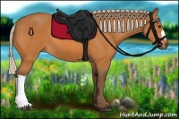 Horse Color:Silver Buckskin 