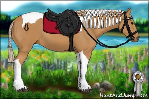 Horse Color:Palomino Tobiano 