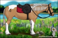 Horse Color:Palomino Tobiano 