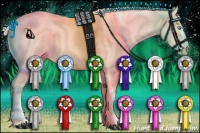 Horse Color:Cremello Sabino 