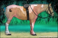 Horse Color:Chocolate Palomino Dun Tobiano 