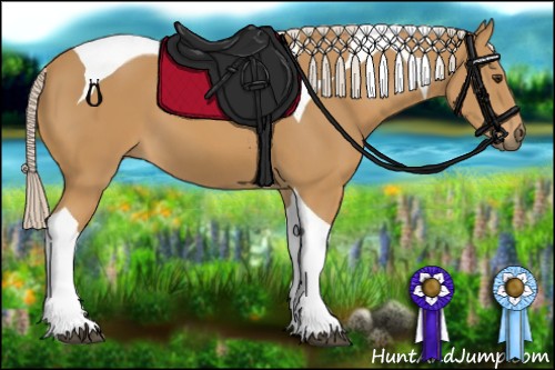 Horse Color:Palomino Tobiano 