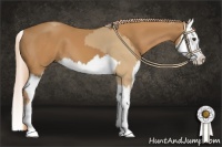 Horse Color:Red Dun  and Chestnut Splash 